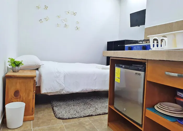 Pensión Habitación Privada En Coliving, Súper Ubicación México DF